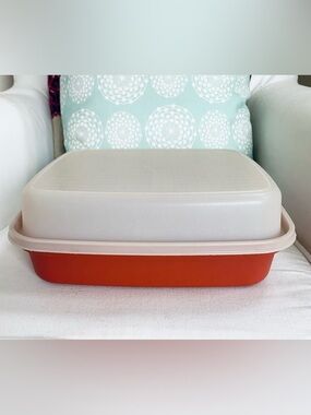 Vtg 1980s Tupperware Season Serve Marinating Meat Food Storage w Lid Paprika